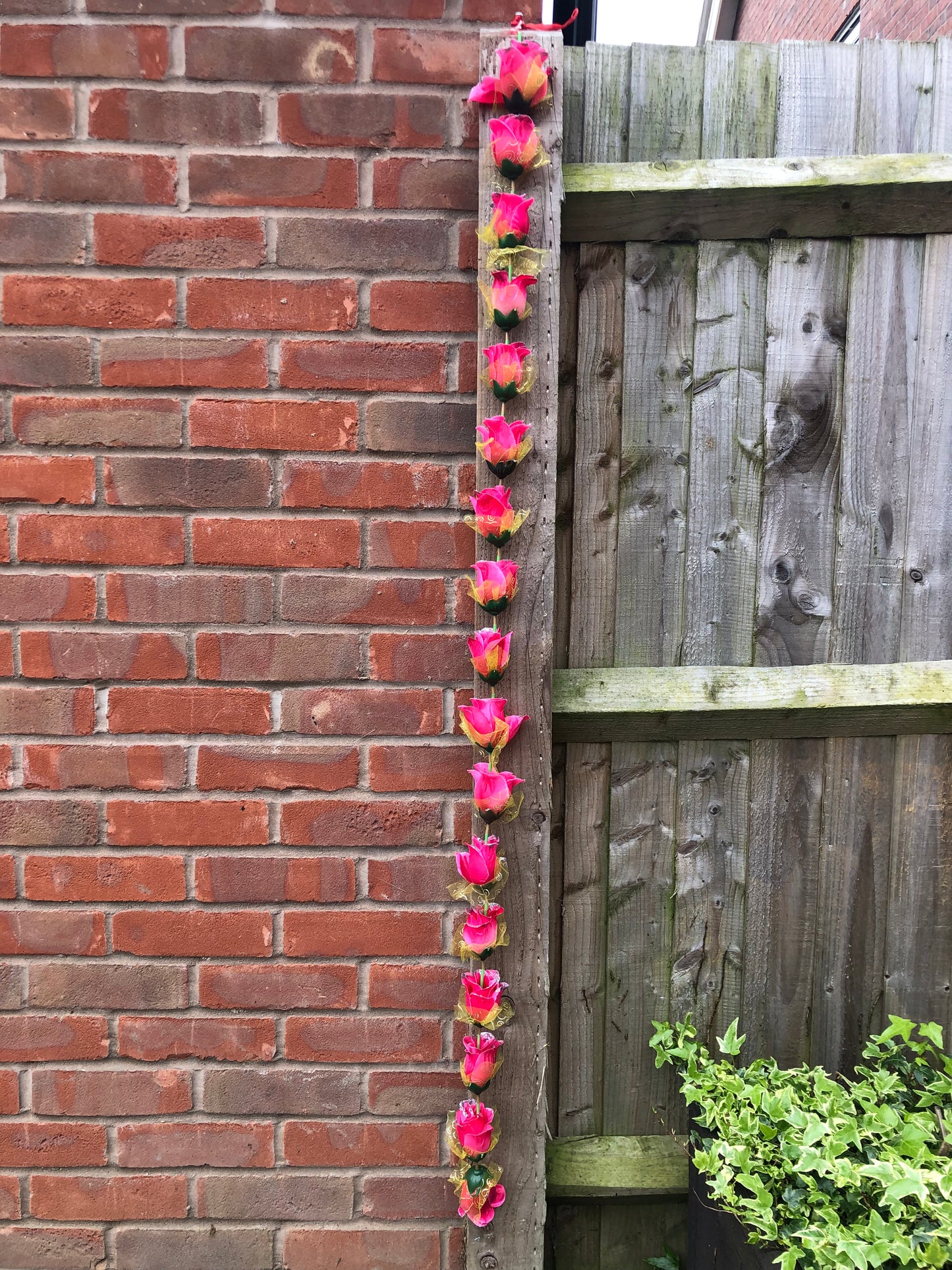 Wall Magenta Artificial Rose Flower Garlands R005 – 2 Pack (5ft) | Indian & Pakistani Wedding, Haldi, Mehndi, Sangeet & Festival Décor